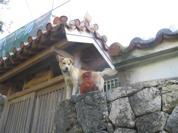 首里城のシーサーと犬