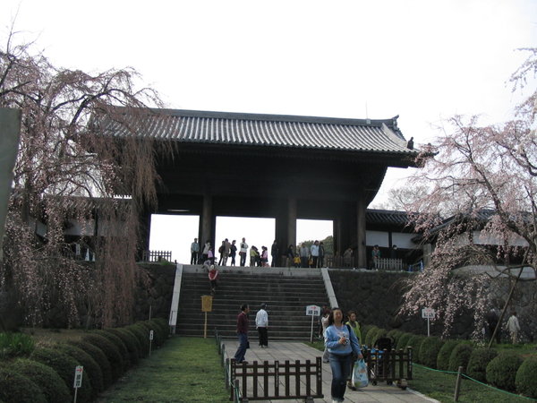 東郷寺の山門