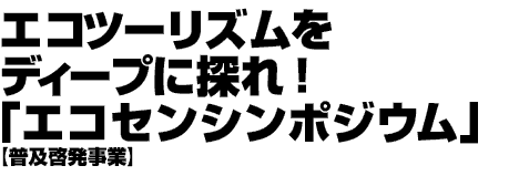 ġꥺǥפõ졪֥󥷥ݥ